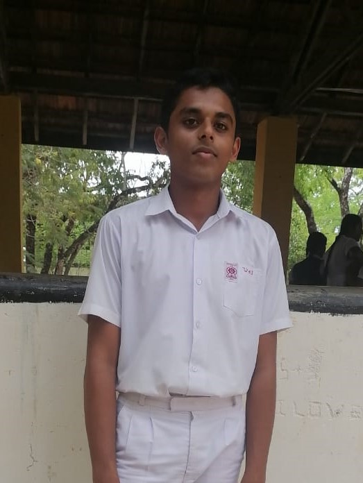 පවර සනහස්